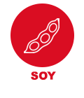 Soy Allergy