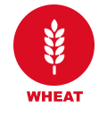 Wheat Allergy